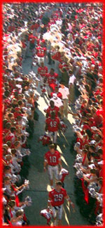 Dawg Walk